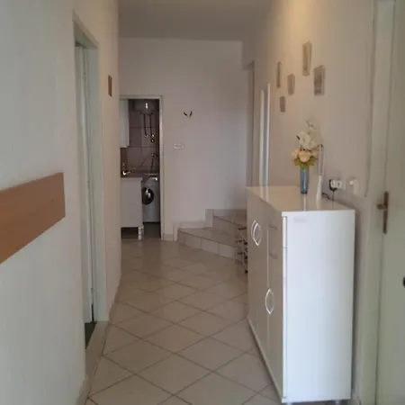 Zele Koic Starigrad Paklenica